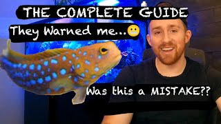 How To Care For Blue Spotted Jaw Fish The Story of William 🐠 [upl. by Ailana]