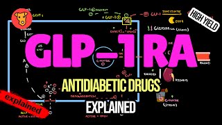 GLP1 RECEPTOR AGONISTS Mechanism of action Side effects [upl. by Atsiuqal]