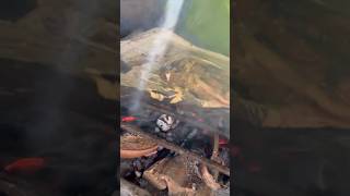 Grilled Blue Marlins Head marang food youtube shortvideo short thankyouforwatching [upl. by Gipson]