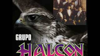 Grupo Halcon Te Amare Toda La Vida [upl. by Namolos243]