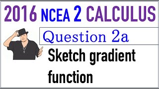 2016 NCEA 2 Calculus Exam Q2a [upl. by Wester176]