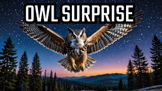 5 MindBlowing Owl Abilities You Never Knew Existed [upl. by Ferris]