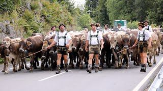 So schön war der Viehscheid in Oberstaufen 2022 [upl. by Brear]