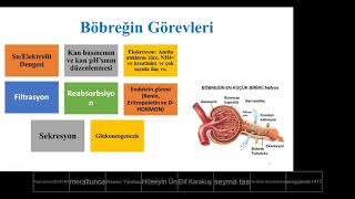 Doç Dr Emin ŞENGÜL Üriner Sistem Fizyopatolojisi 02052020 [upl. by Yntruoc78]