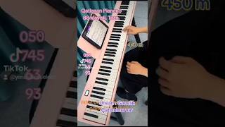 Hər cür elektro piano və elektro pianenolar var Çatdırılma da var0507456393 vp [upl. by Lelia]