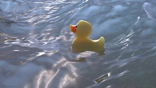 Duck on the waves Blender animation tutorial [upl. by Gage230]