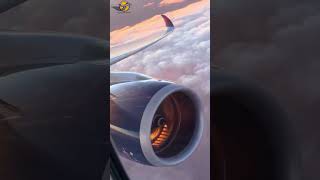 RealTime Airplane Status Where Are They Now ✈️🌍  aviation shorts short viralvideo pilot [upl. by Celestyna]