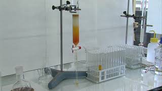 Título Técnicas básicas en un laboratorio de química orgánica Cromatografía en Columna de Gel [upl. by Brietta]