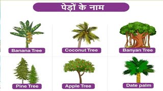 Trees Names 10 पेड़ों के नाम Tree name herbs shurbs plant पेड़ का नाम हिंदी में पेड़ का नाम इंग्लिश [upl. by Einre]