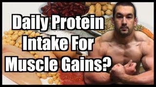 Daily Protein Intake How Much Protein To Build Muscle [upl. by Redliw]