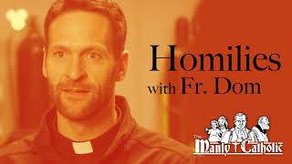 Be A Saint What Else is There A Homily with Fr Dom [upl. by Ahsiemak510]