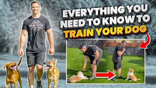 Everything You NEED To KNOW To TRAIN Your DOG [upl. by Cecilio939]