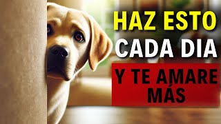 Cuál es el SECRETO para HACER que tu Perro Te AME Más [upl. by Anilah243]