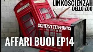 Gli scherzi telefonici di Wender con Affari buoi ep14 [upl. by Hgieleak]