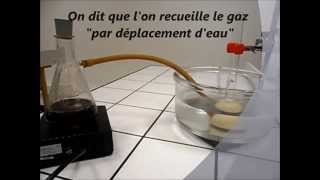 Recueillir un gaz par déplacement deau [upl. by Wanyen161]