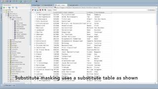 Oracle Data Masking [upl. by Milak]