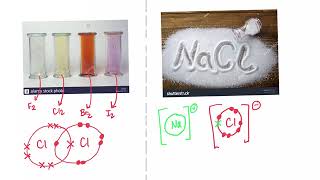 How to tell the difference between halogens and halides [upl. by Maillw]