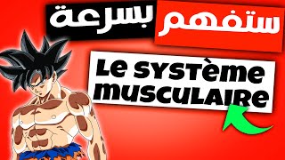 le système musculaire 3ème année collège ملخص  PDF svt bsif [upl. by Chuipek210]