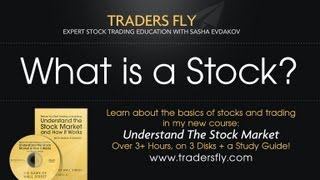 What is a Stock Beginners Guide to Investing [upl. by Ajay]