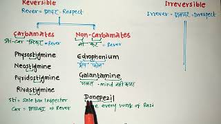 Cholinergic Drugs Classification Trick  Pharmacology  Vikas Bopinwar [upl. by Bentley562]