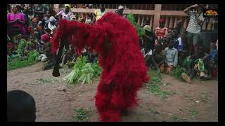 Kankurang of Guinea Bissau the Mandinka initiation rite in West Africa [upl. by Eselahc]