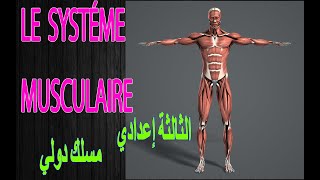 💪🏾💪🏾 le système musculaire  الثالثة اعدادي مسلك دولي  partie 1💪🏾💪🏾 [upl. by Dnumde]