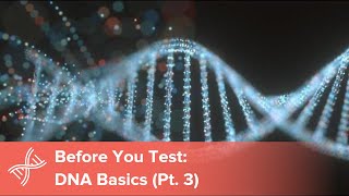 Before You Test DNA Basics You Need to Know Part 3 [upl. by Bathelda]