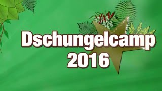 Dschungelcamp 2016 Geheime Fakten über das RTL Camp [upl. by Hodess]