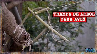 Trampa DE ÁRBOL PARA AVES AUTOMÁTICA TUTORIAL YMX SUPERVIVENCIA [upl. by Elokyn308]