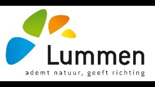 Gemeenteraad Lummen 28102024 [upl. by Garlaand]