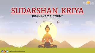 Sudarshan Kriya Pranayam Count  3 Stage Pranayam  Bhastrika  Om Chanting  By Parag Khandelwal [upl. by Lindley]