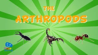 The Arthropods  Educational Video for Kids [upl. by Chilson]