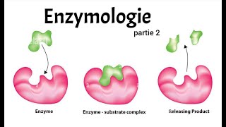 ENZYMOLOGIE PART 2  CINETIQUE  REGULATEURS  ALLOSTERIE [upl. by Galang897]