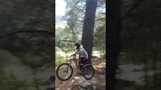 We found random sketchy jumps in the woods mtb [upl. by Adnohsed125]