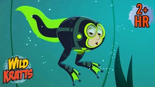 Activate Frog Powers  The Frog Life Cycle  New Compilation  Wild Kratts [upl. by Aneehsyt]