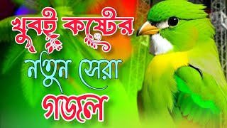 খুবই কষ্টের নতুন সেরা গজল। gojol ringtone kolorob gojol গজল 2024 গজল 2024 নতুন bangla gojol [upl. by Baecher306]