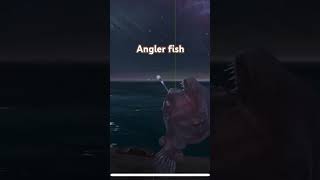 Pescando o Angler fish [upl. by Rubens246]