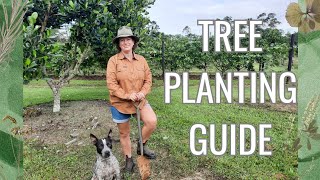 Tree planting guide  Our top tips  Step by Step [upl. by Alaj]