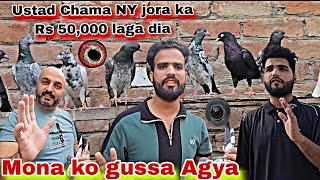 ustad Chama NY Rs 50000 ka jora liya 😊 YouTube open challenge istarha ka kaboter dikhao [upl. by Groveman]