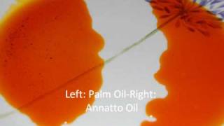 Annatto Oil Palm Oil Substitute [upl. by Devona]