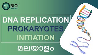 DNA REPLICATION IN PROKARYOTES  INITIATION stage Detailed explanationMalayalam [upl. by Eelloh520]