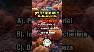 Para que sirve la Amoxicilina quiz sabiasque salud medicina farmacia medicamentos [upl. by Hannahsohs]