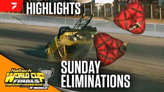 World Cup Finals Import vs Domestic Sunday Eliminations  Drag Racing Highlights 11324 [upl. by Aitekram]