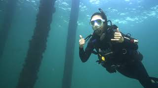 Try SCUBA Diving  Dive Busselton Jetty [upl. by Ylim]