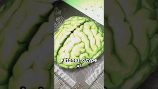 keto Diet A Key to Better Mental Health 🤔🧠 ketodiet mentalhealth humanbody [upl. by Uzzi]