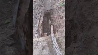 Laying water pipe underground quickly with modern tool [upl. by Darrill]