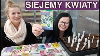 Siejemy kwiaty jednoroczne i byliny 26 odmian Co siać w marcu Kwiaty w ogrodzie  Kasiain [upl. by Judy]