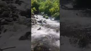 Pangi Nala at kalpa Himachal Pradesh waterfall trendingshorts [upl. by Eelana]