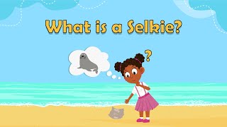 Selkies  What is a Selkie  Magical creatures for kids  mythical creatures for kids  Fun facts [upl. by Ttocserp]