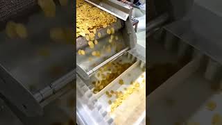 Pani Puri making machine machine industrialmachine food pastanoodlemachine [upl. by Onra]